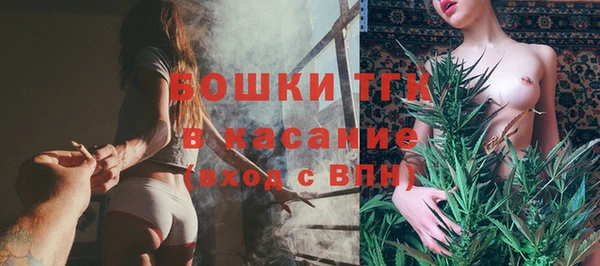 дмт Алзамай