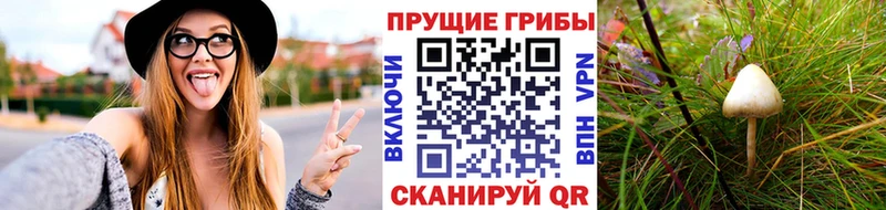 Галлюциногенные грибы мухоморы  даркнет сайт  Касимов 